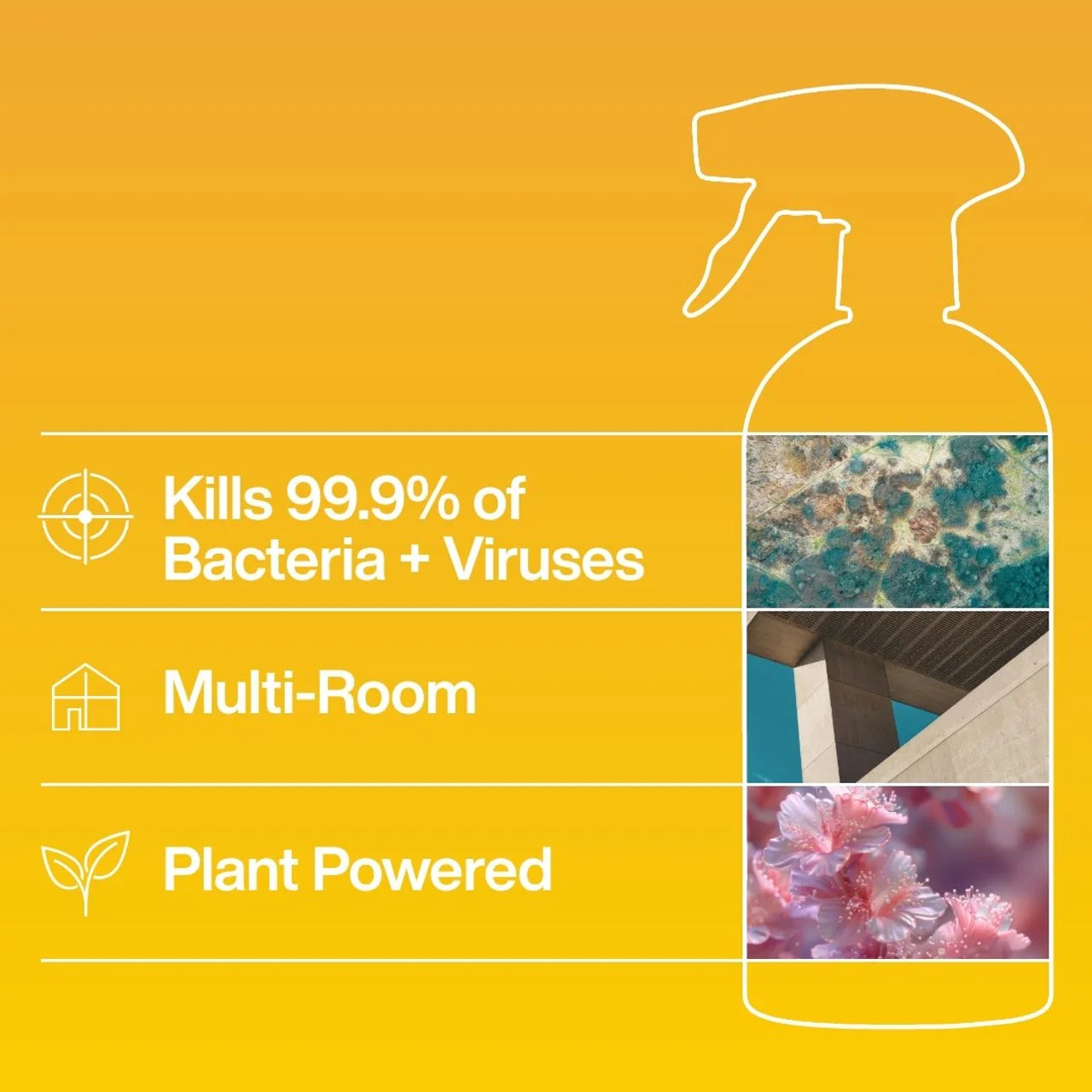 INEOS Antibac Multi-Room Spray Sicilian Lemon + Cypress 750ml