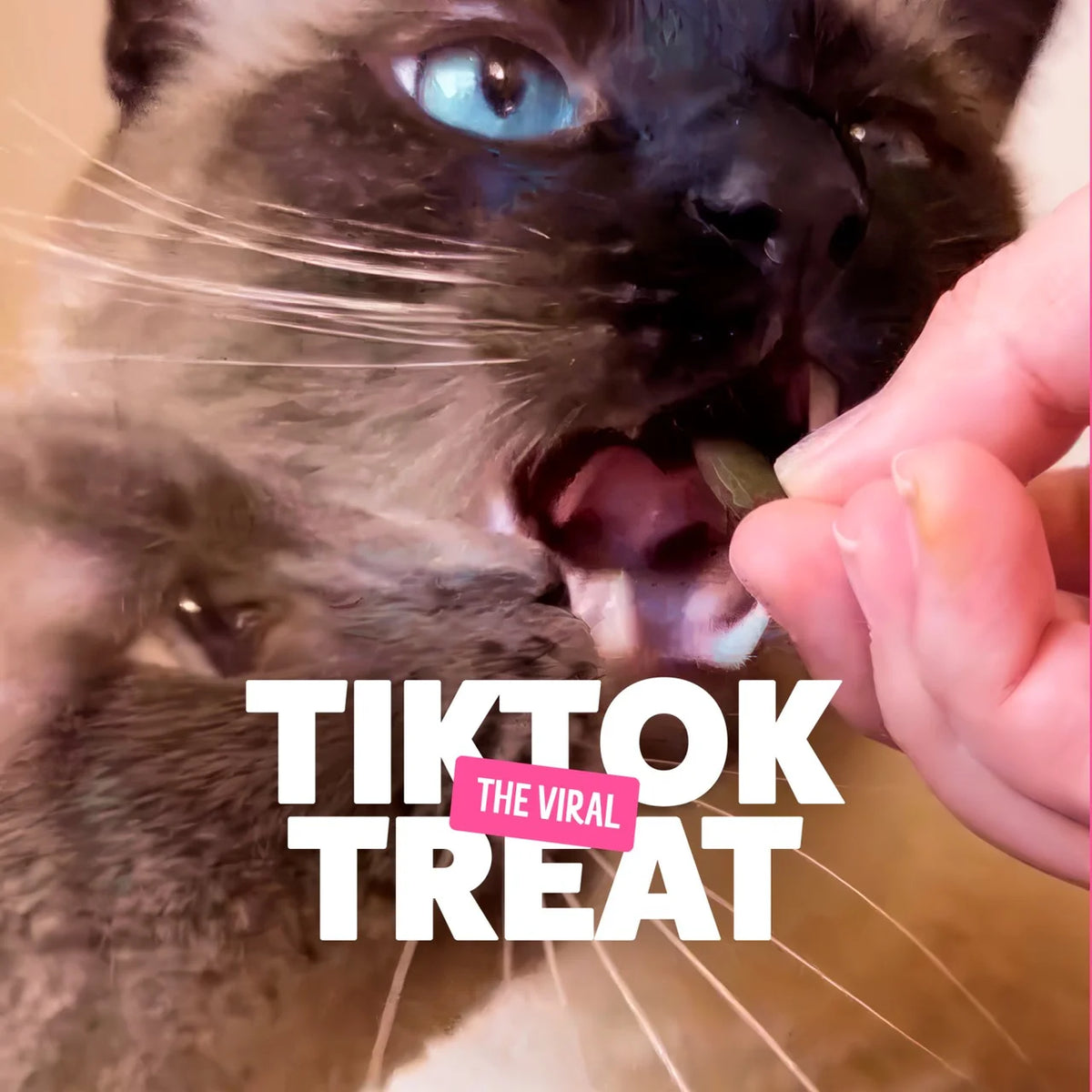 BONKERS Cat Bites Crunchy & Soft Catnip Chick N' Cheddar Flavour Cat Treats 180g