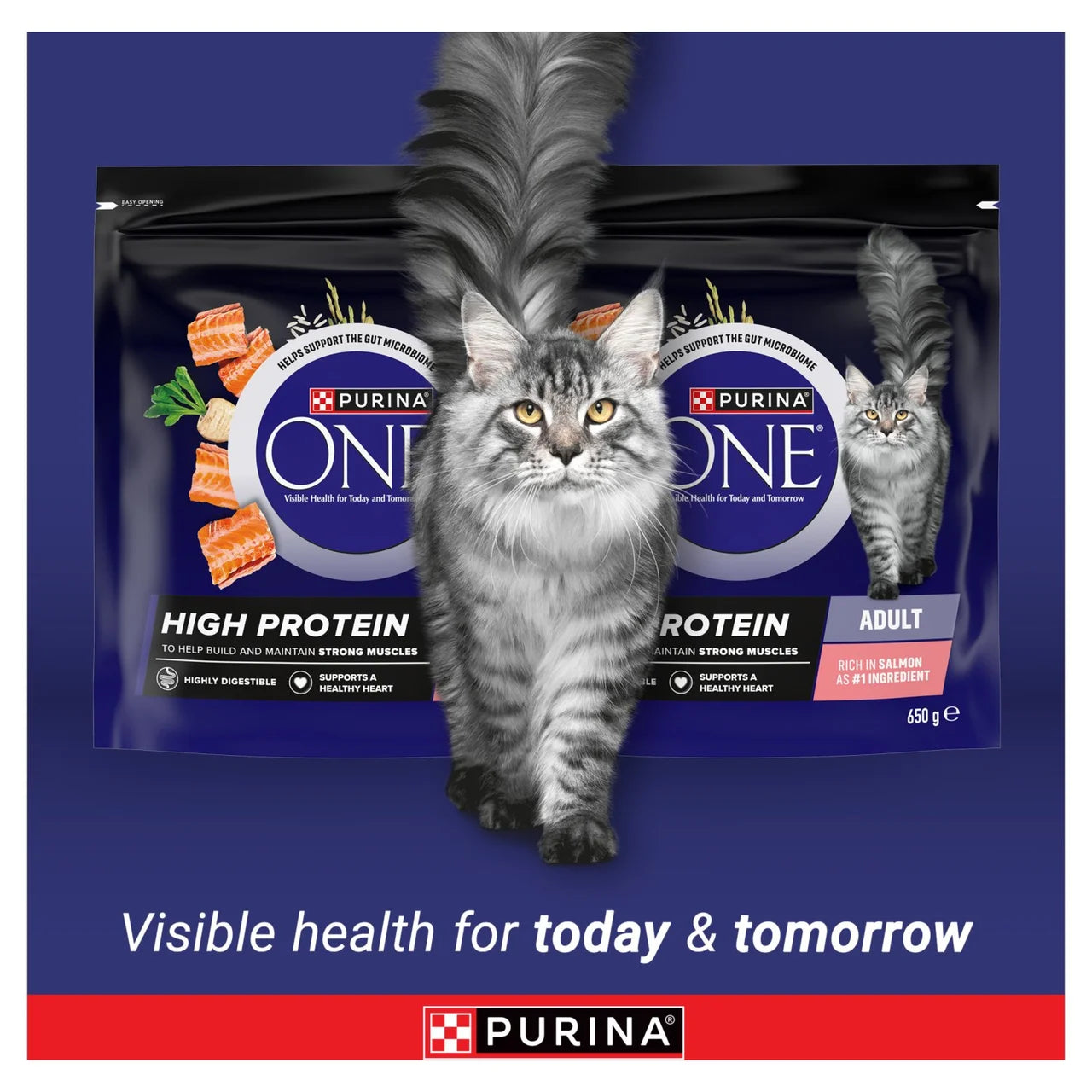 Purina One High Protein Chicken Dry Cat Food 650g