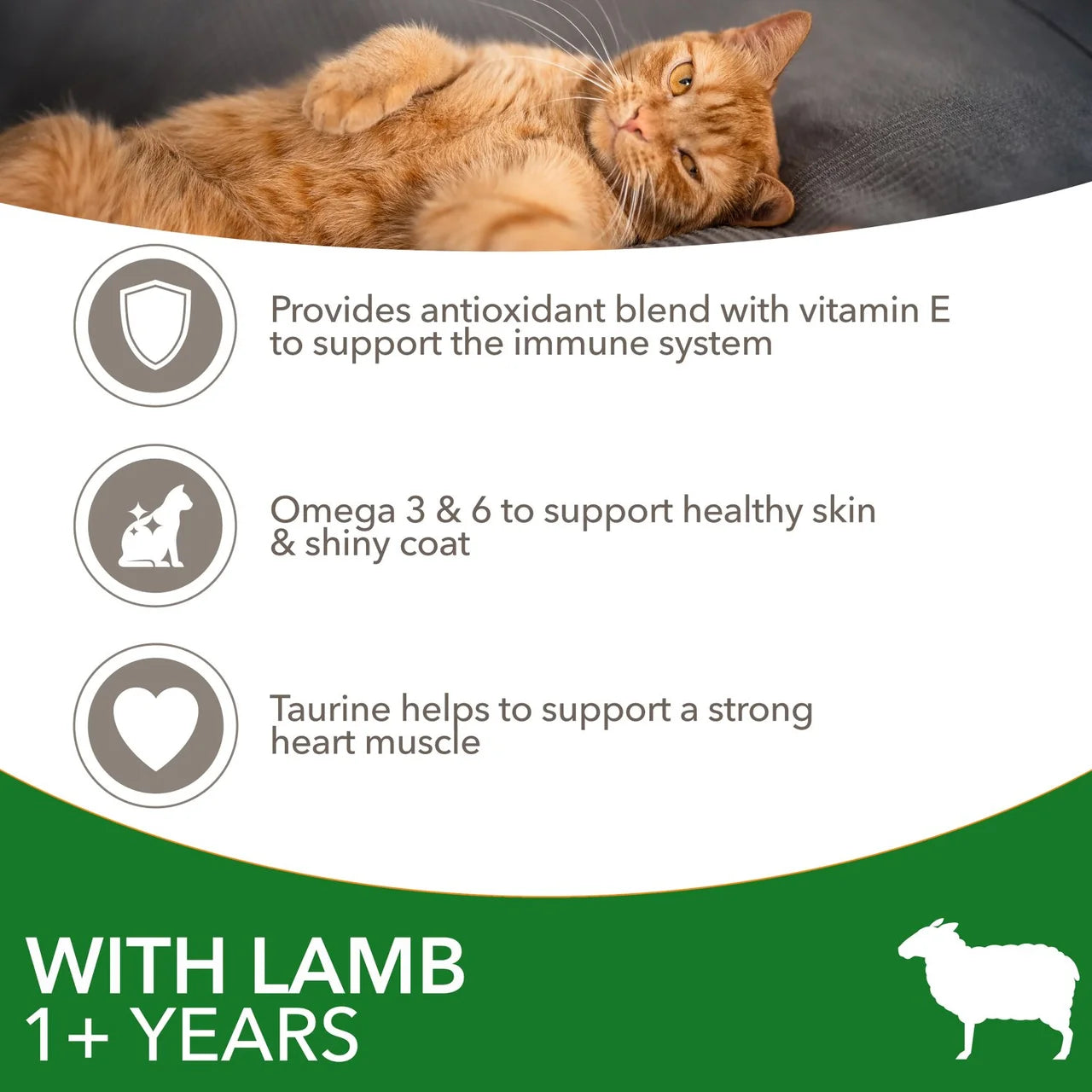 IAMS Advanced Nutrition Adult Cat Food With Lamb 800g