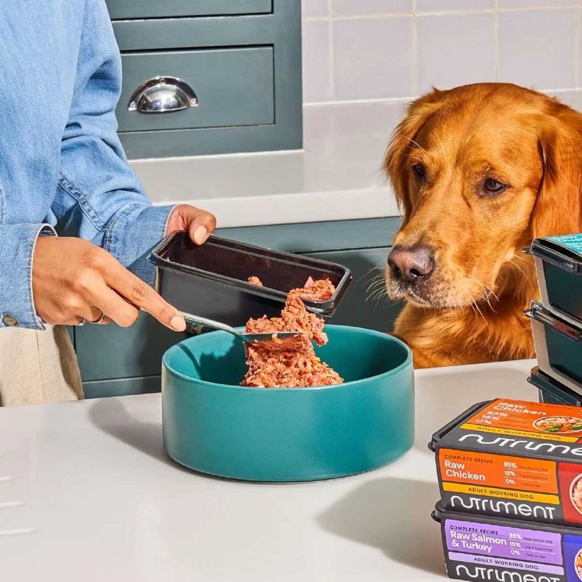 Nutriment Chicken Formula Raw Dog Food 500g
