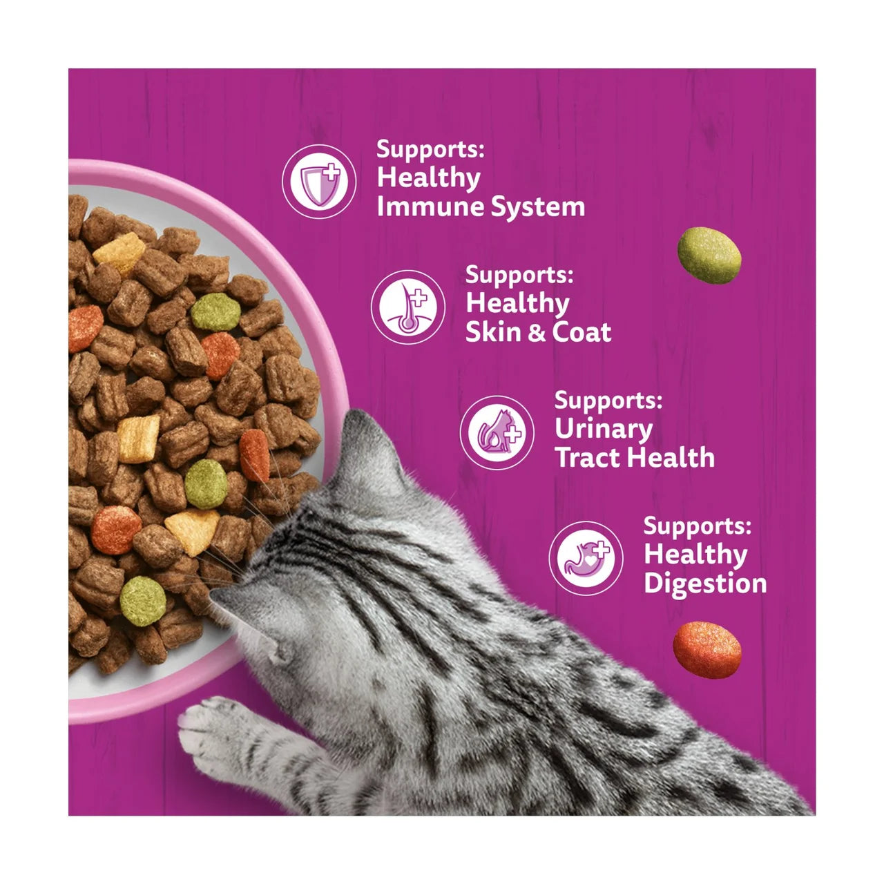 Whiskas 1+ Adult Dry Cat Food with Salmon 800g