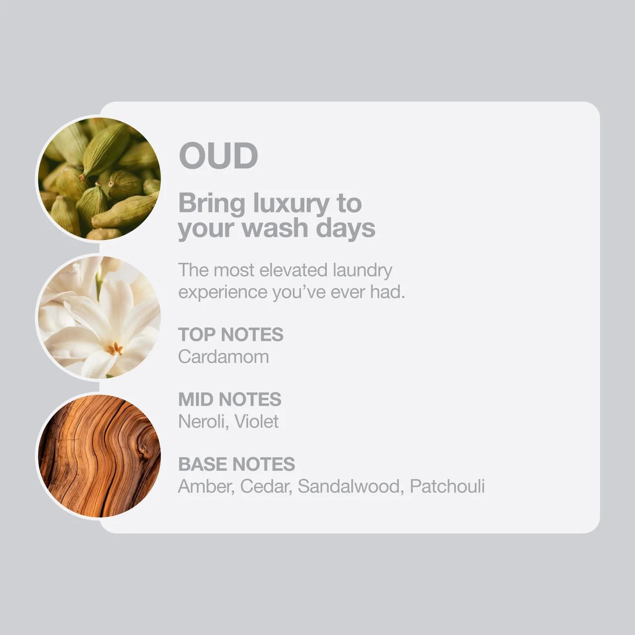 Tallow + Ash Oud Laundry Conditioner 800ml