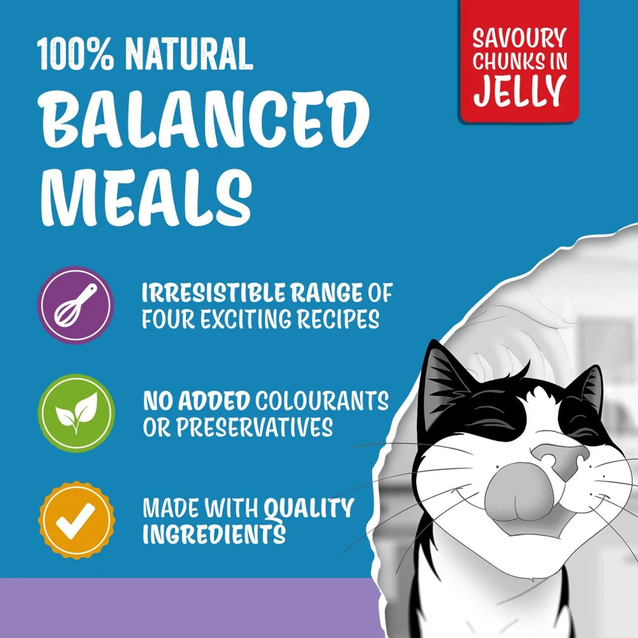 Felix Original Kitten Mixed Selection in Jelly Wet Cat Food 40 x 85g