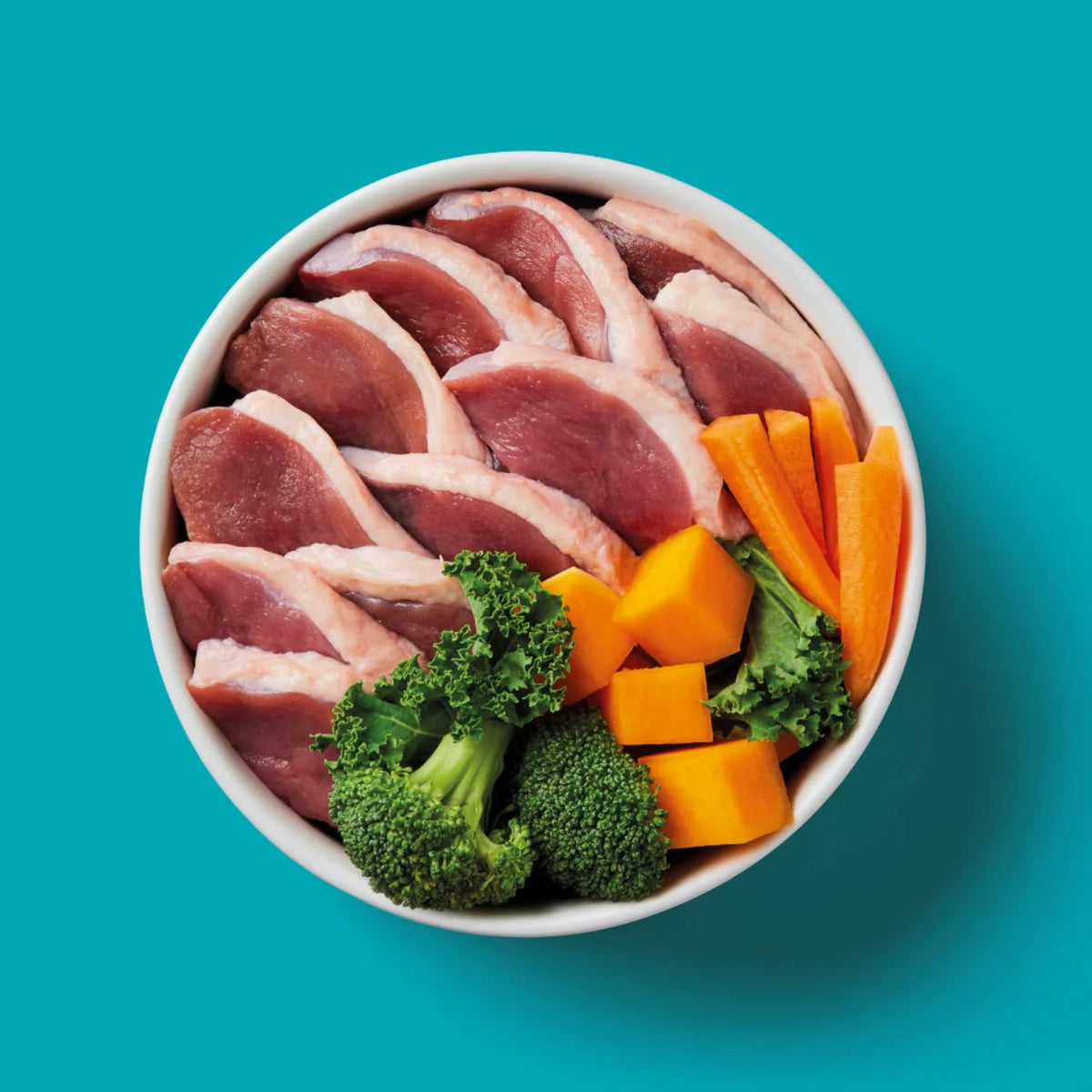 Nutriment Duck Formula Raw Dog Food 500g