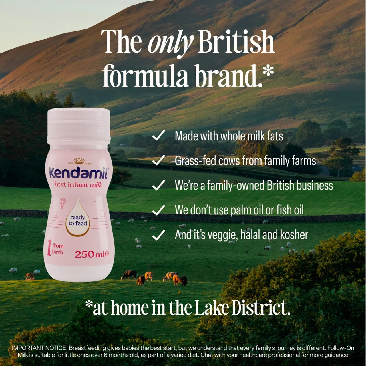Kendamil Ready to Feed First Infant Milk 6 x 250ml