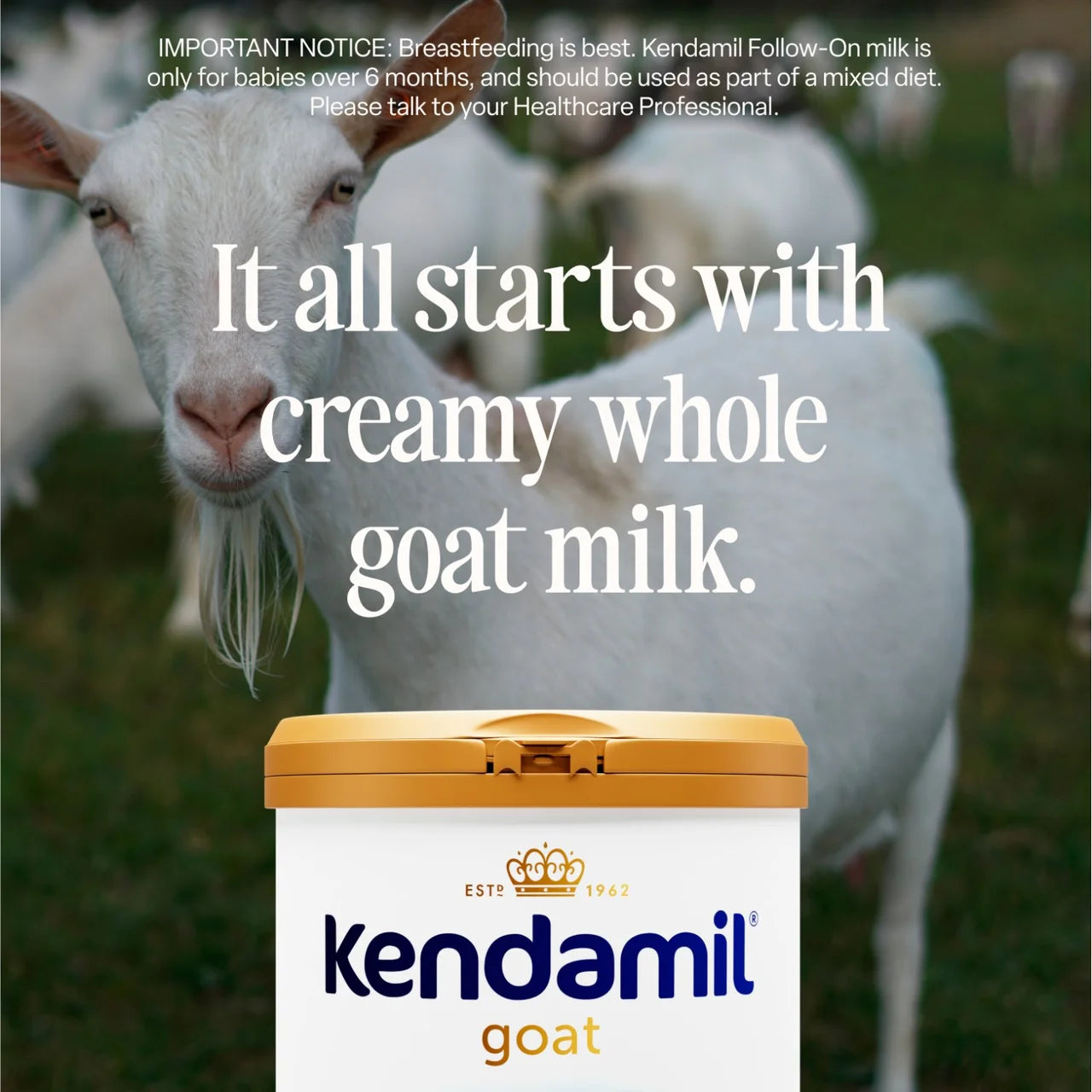 Kendamil Goat Follow On Milk Stage 2 From 6-12 Months 800g