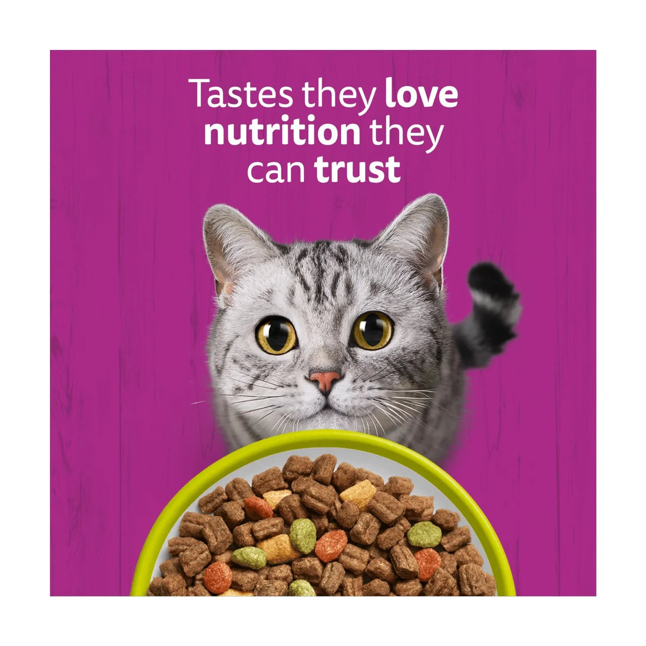 Whiskas 1+ Adult Dry Cat Food with Lamb 800g