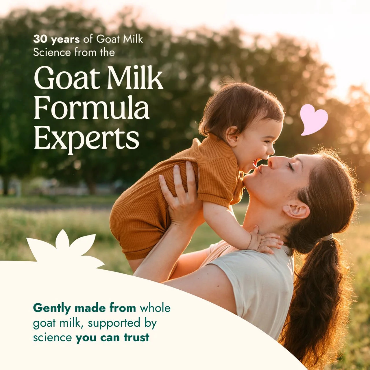 Nannycare Goat Stage 2 Follow On Milk Formula 800g