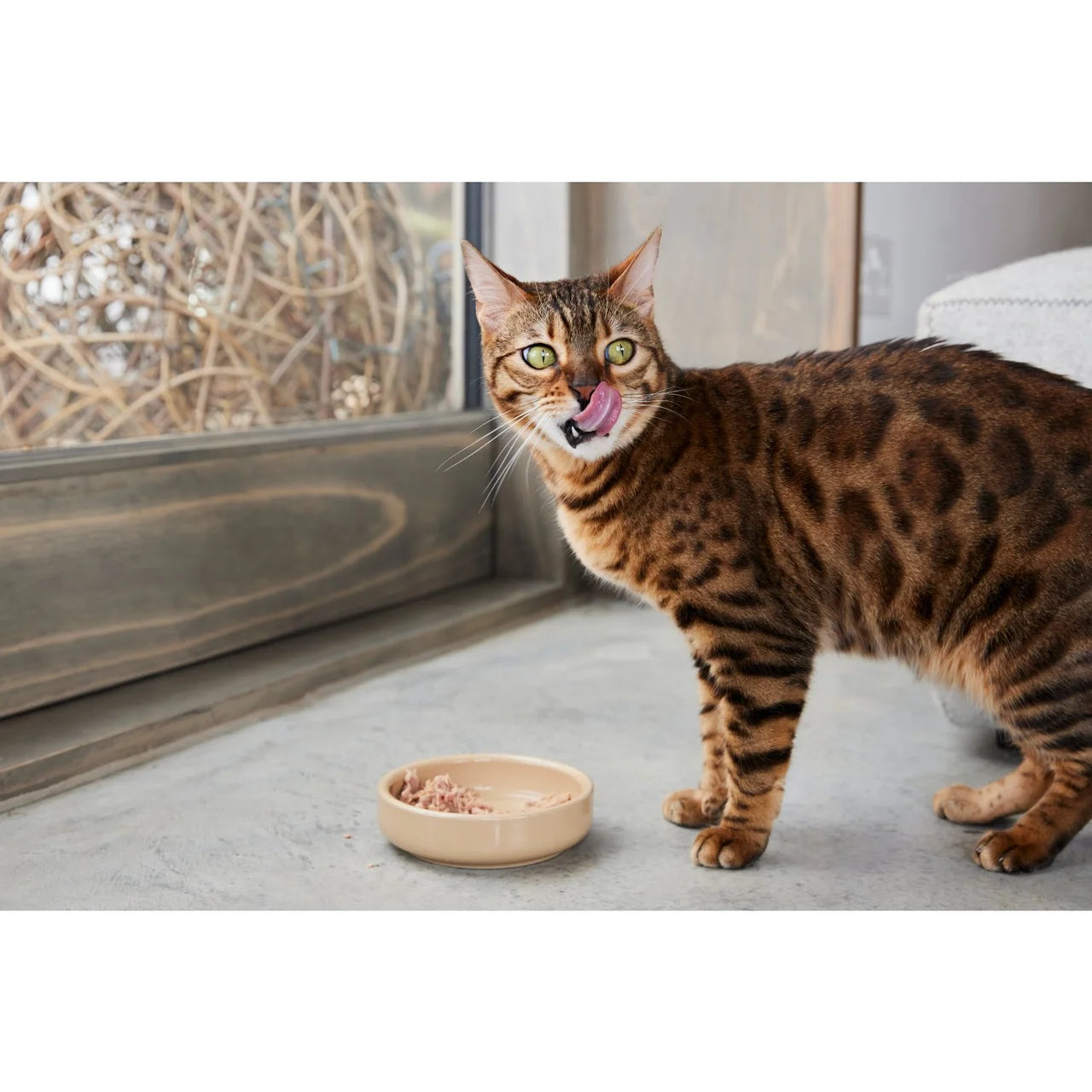 Thrive Complete Cat Food Tuna & Salmon 75g