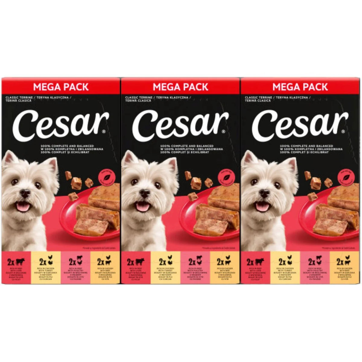 Cesar Classics Terrine Wet Dog Food Trays Mixed Selection 24 x 150g