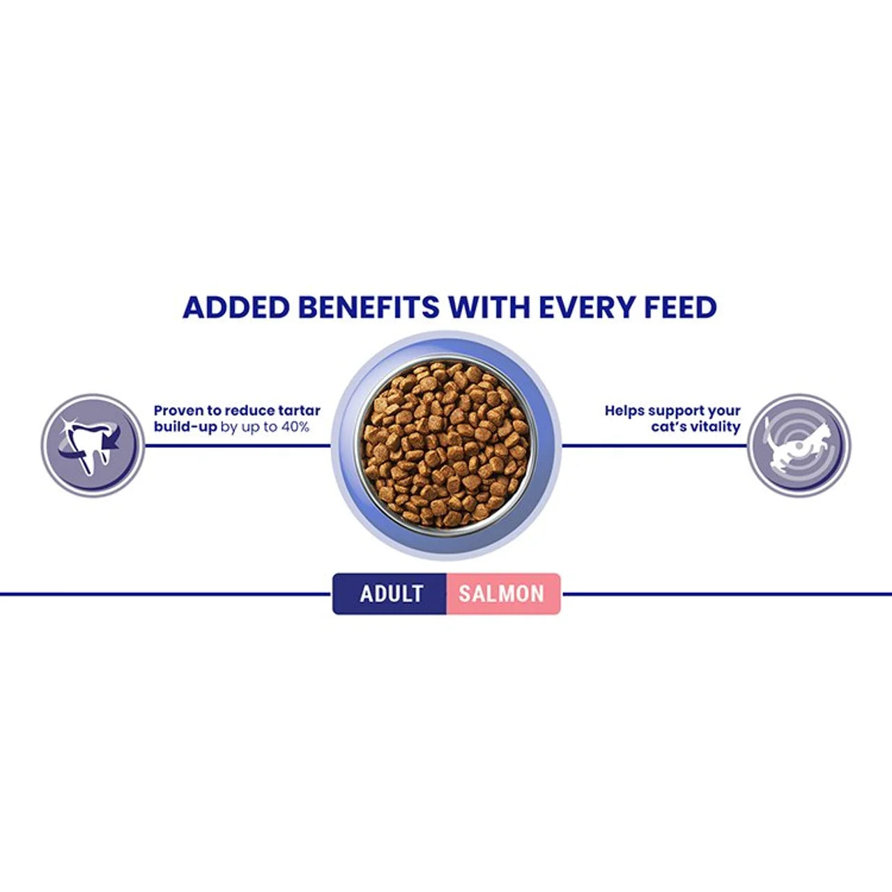 Purina One Salmon Dry Cat Food 800g