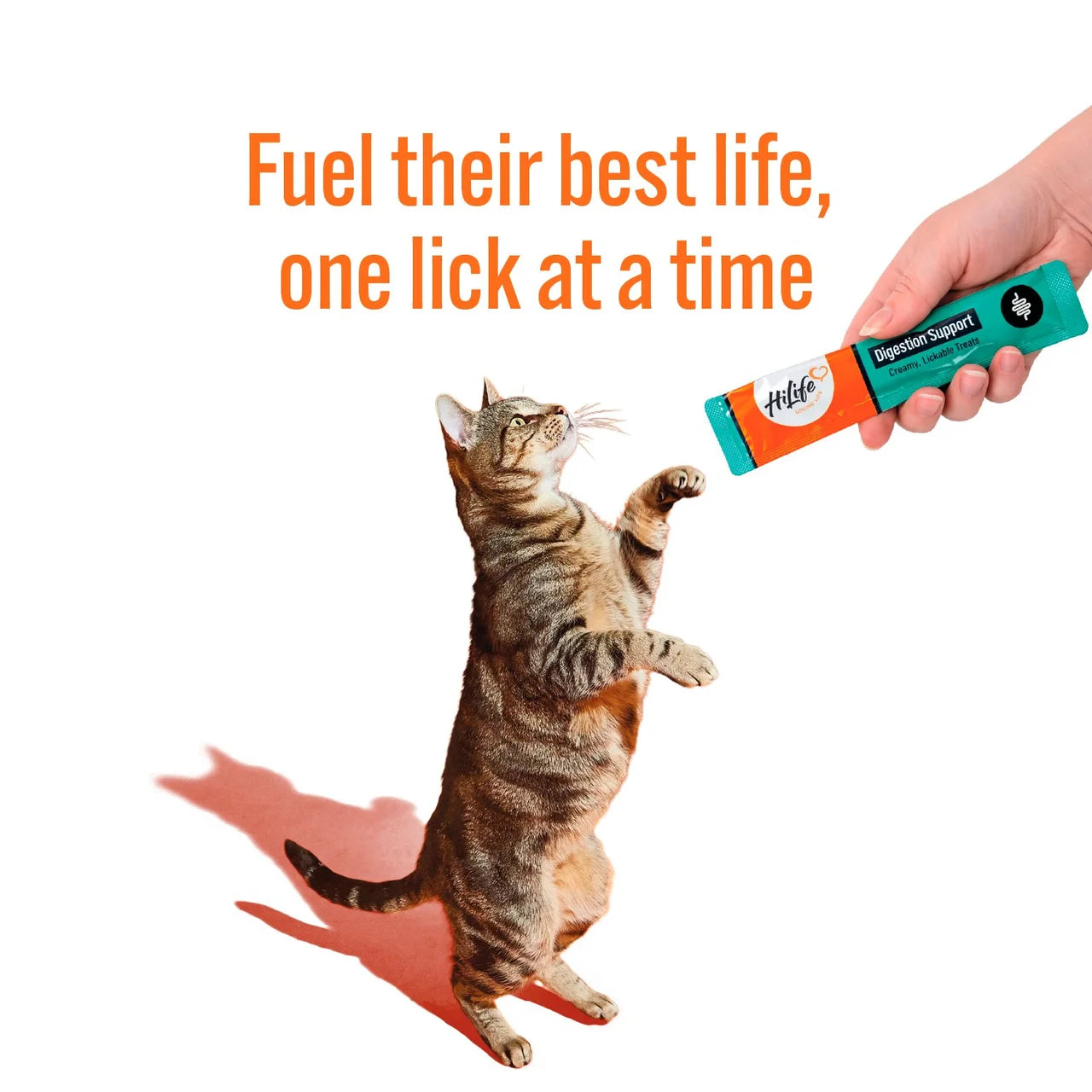 HiLife Functional Cat Licks Digestive Support 5 x 15g