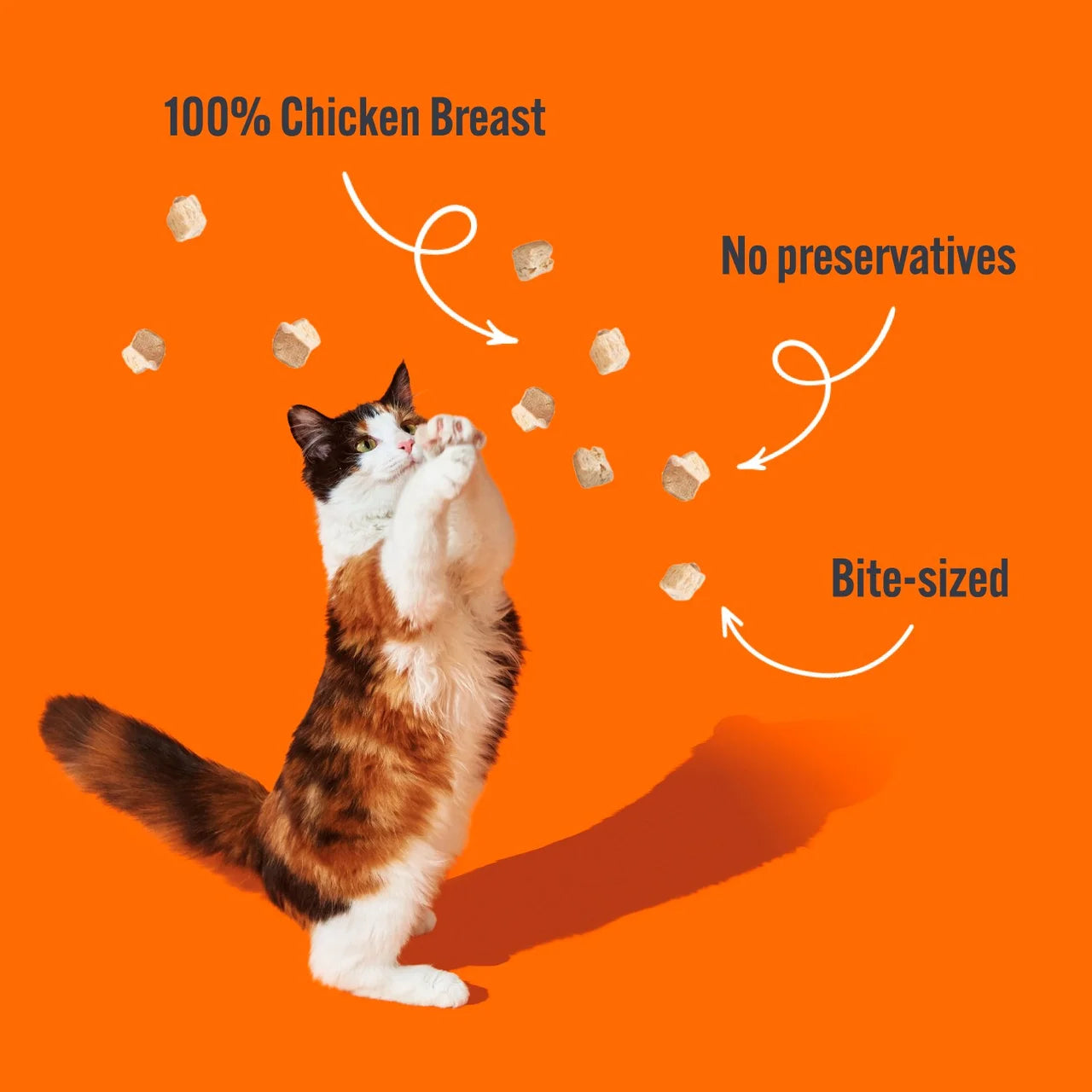 HiLife It's only Natural Chicken Breast Cat Treats 10g