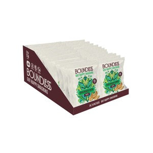 Boundless, Sour Cream & Onion Chips Multi-Pack